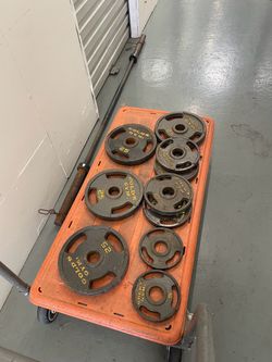 Gold's Gym Olympic Weight Plates and Barbell Set