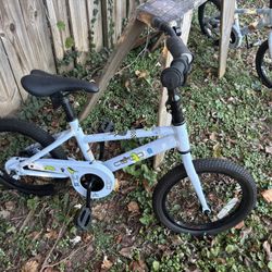 REI Coop Rev 16 Bikes