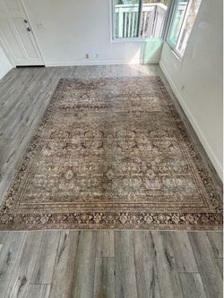Living Room Rug