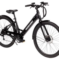 Electric Bike