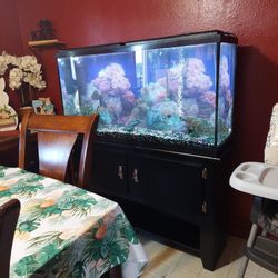 65 Gallon Fish Tank