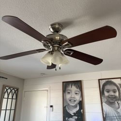 52” Ceiling Fan with Light. Works Great