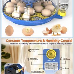 Incubator for hatching eggs