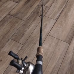 Fishing Pole Castaway Graphite Rods With Reel 6ft