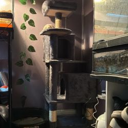 Cat Tree Trade 