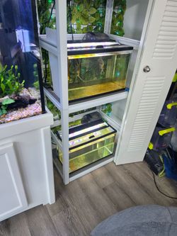 Fish tank en ventas