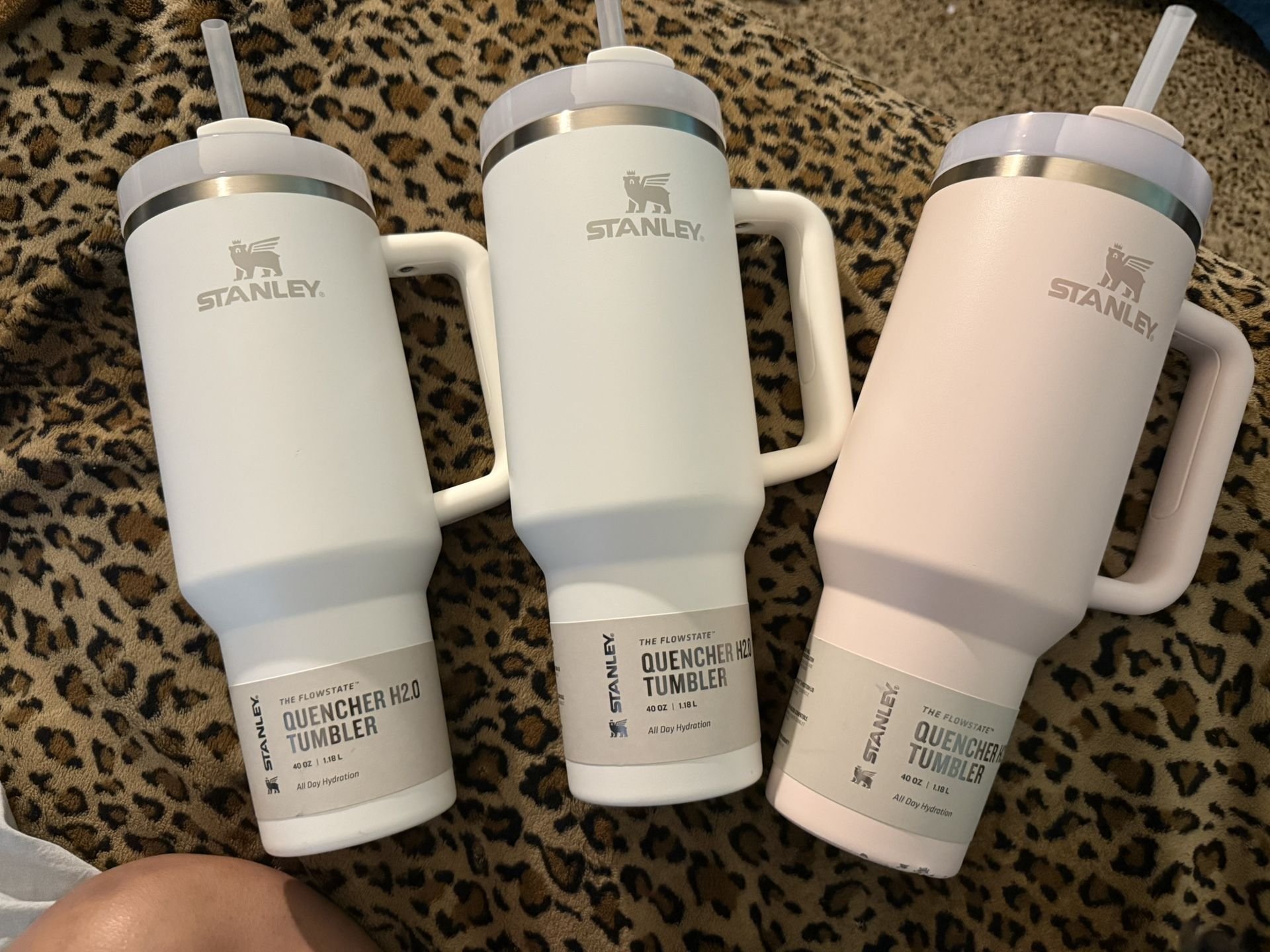 Stably Cup