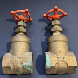 Brass gate Valves