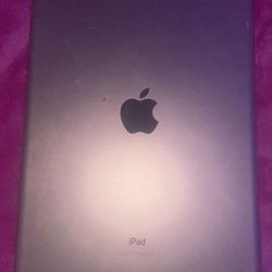 iPad 