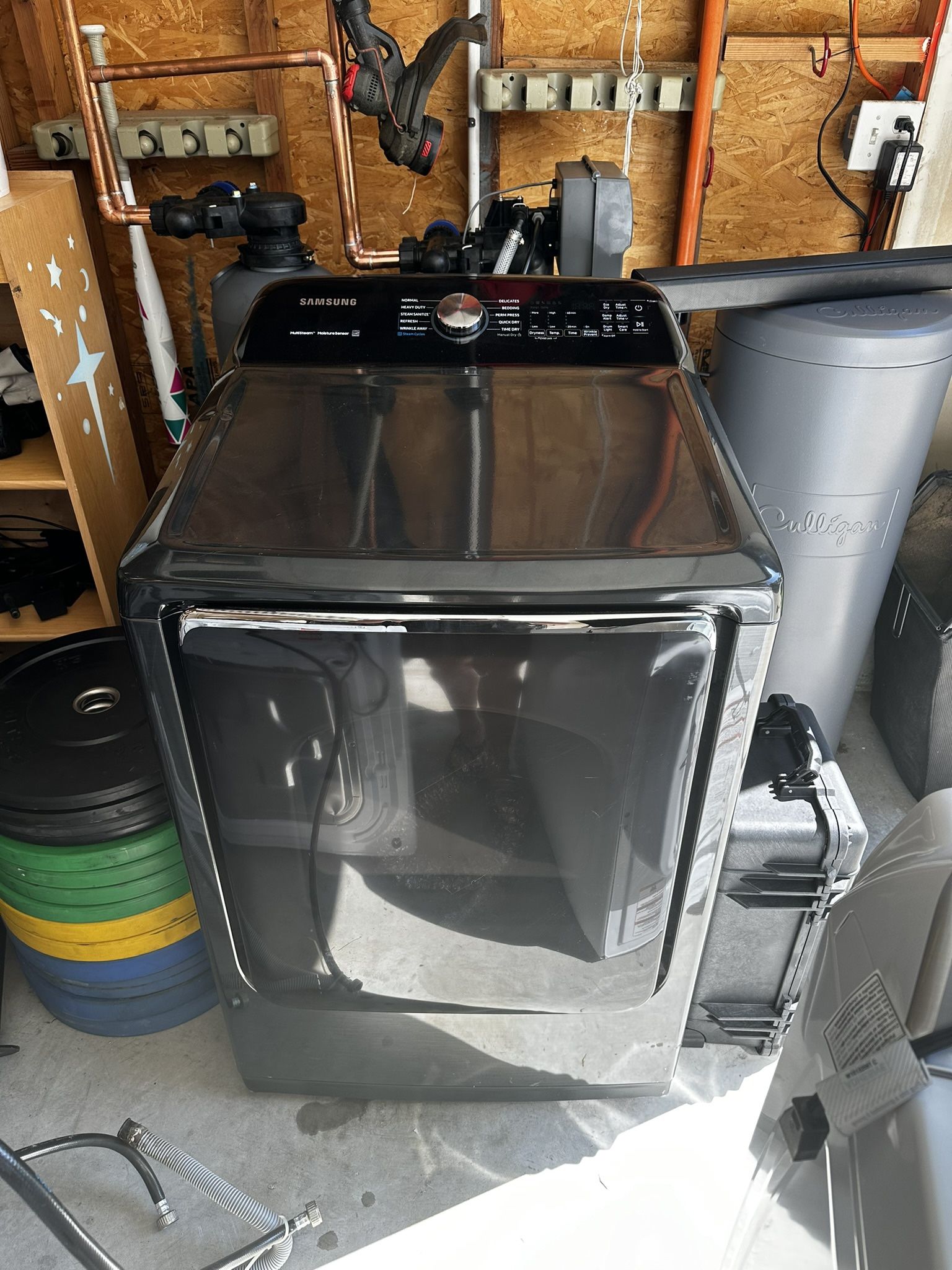 Samsung Multisteam Electric Drye