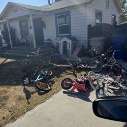 Bikes All Sizes Just Ask