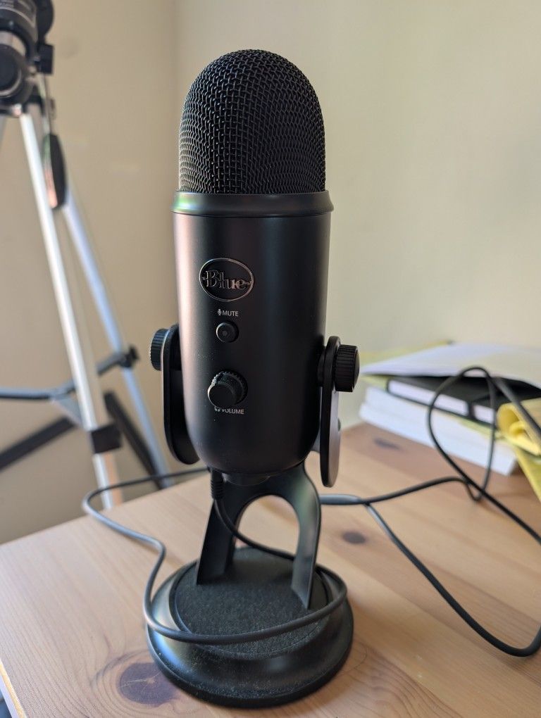 Professional Mic