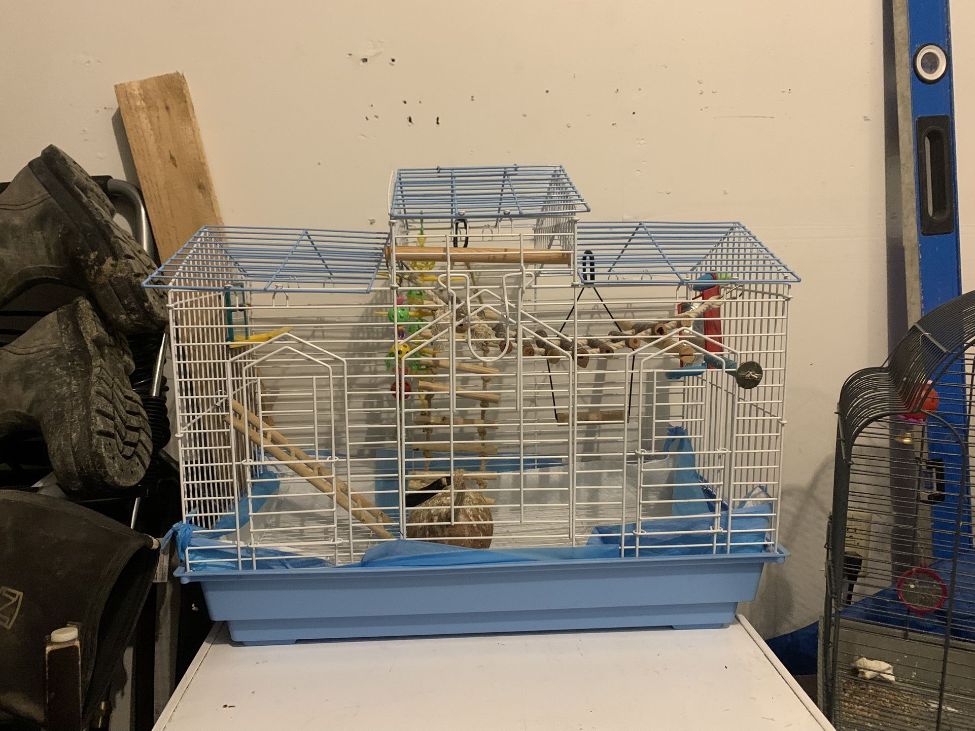 Bird Cage For Sale