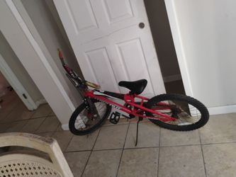 Bike 20in
