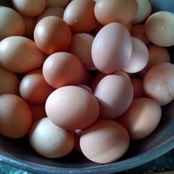 Eggs