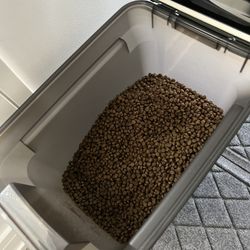 CAT FOOD WITH  CONTAINER