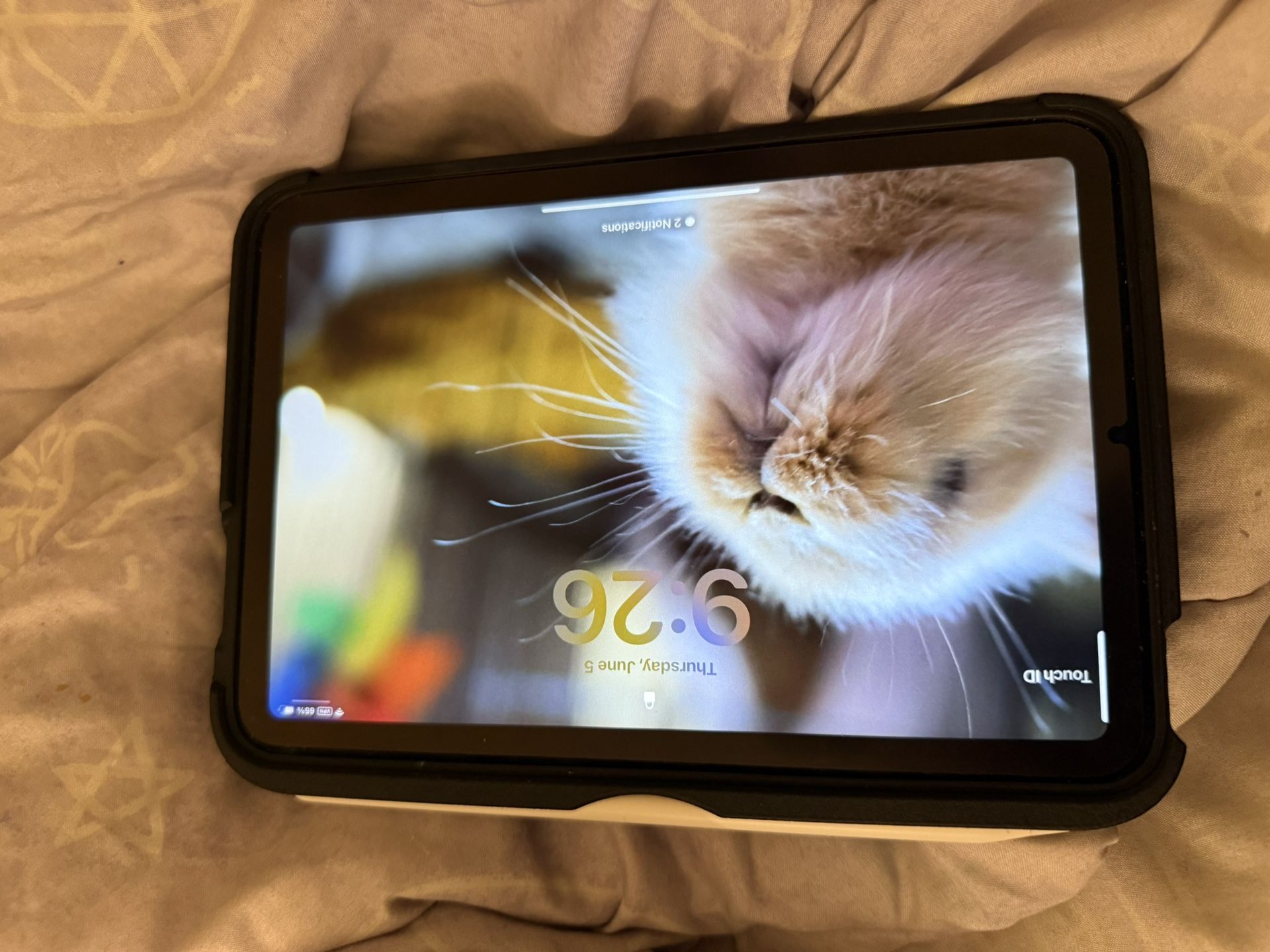iPad Mini 7 256 Gb
