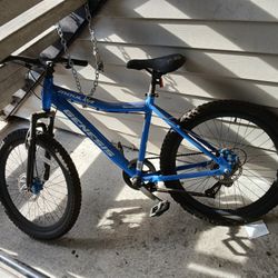 Bike For Sale, Blue