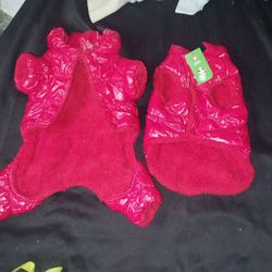 Outfits For Fido