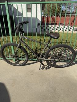 Comfort Bike