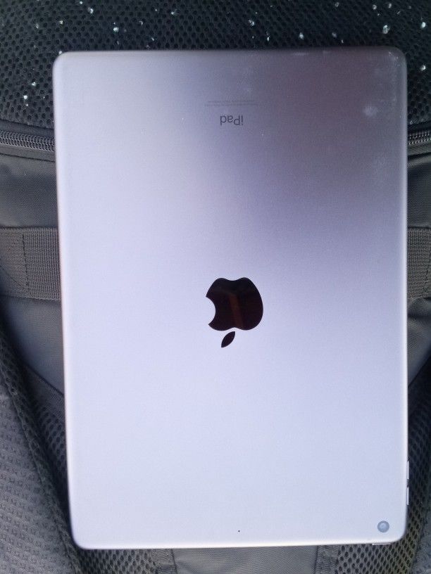 Apple Ipro Tablet,Ash Gray Color 