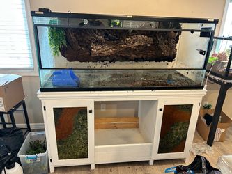 150 gallon Terrarium
