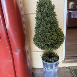 Cute Topiary (Greenway Rd And Cave Creek Road)