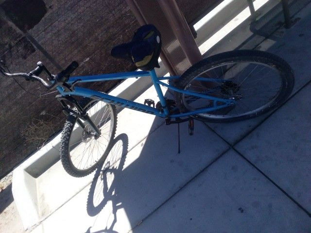 Schwinn