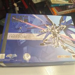 Metal Robot Spirits FREEDOM GUNDAM Action Figure BANDAI from Japan Used