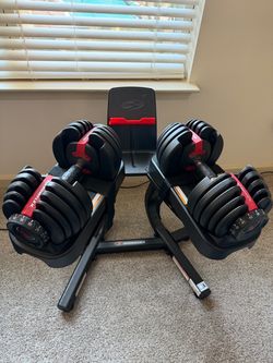 Like New Bowflex Adjustable Dumbell Set + Stand