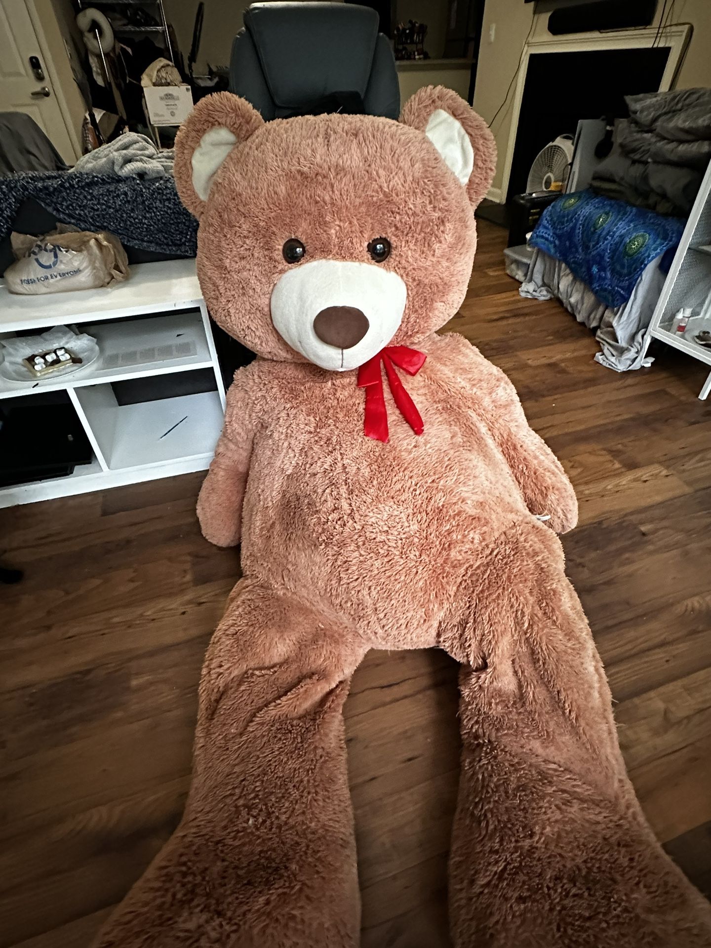 Big Teddy Bear