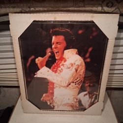 Elvis Picture 
