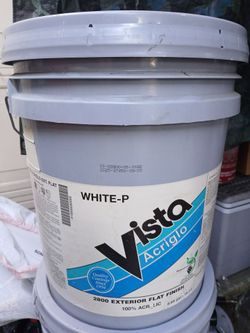 Exterior flat paint
