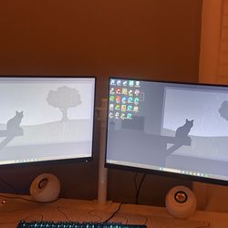 AOC 24 inch monitors with dual stand