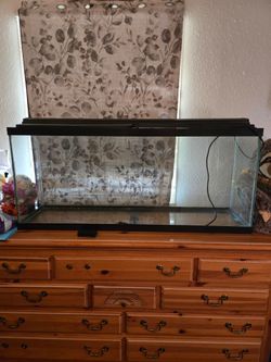 55 Gallon tank