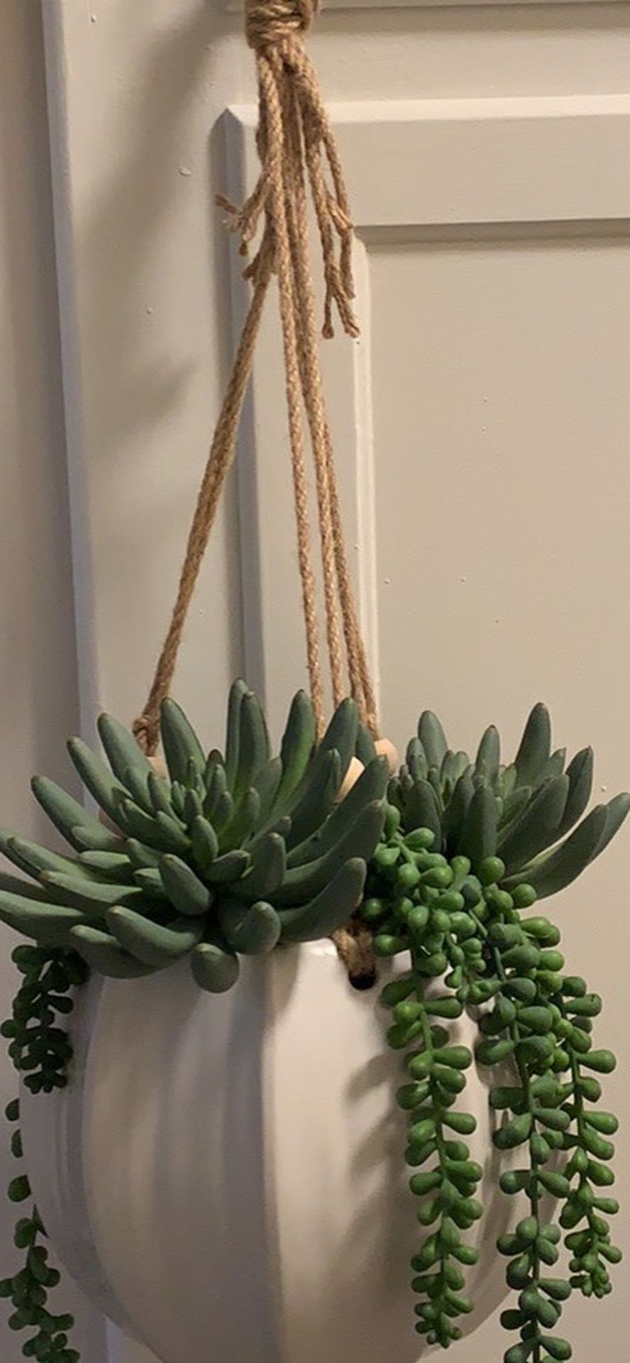 Ceramic Hanging Pot With Succulents