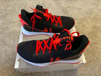 Nike "Chosen 1" LeBron Witness V, size 11, worn a couple times