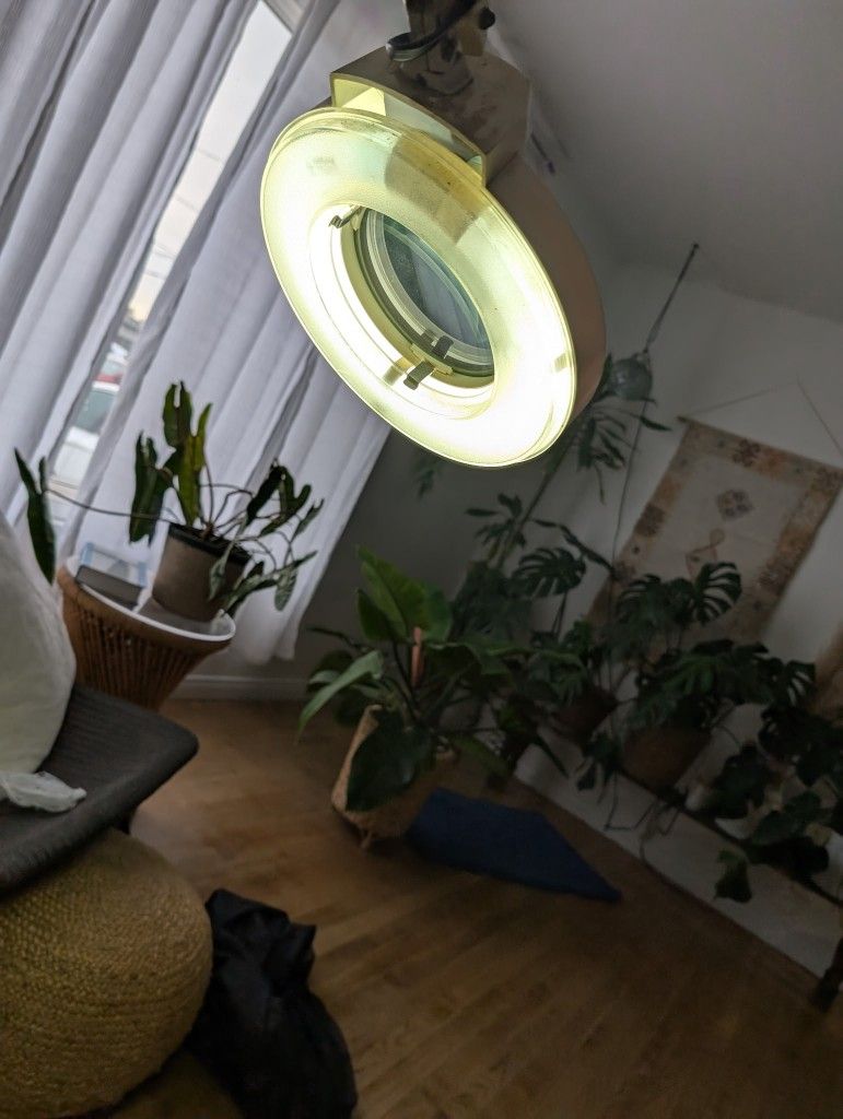 Professional Facial Steamer And Steamer Mag Light