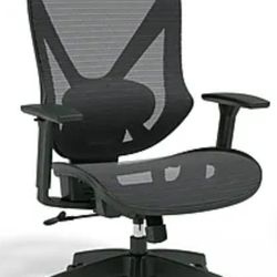 Dexley Ergonomic Mesh Swivel Task Chair