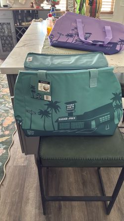 Large reusable insulated bag