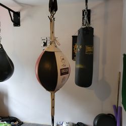 Aqua Bag And Double End Bag For Boxing