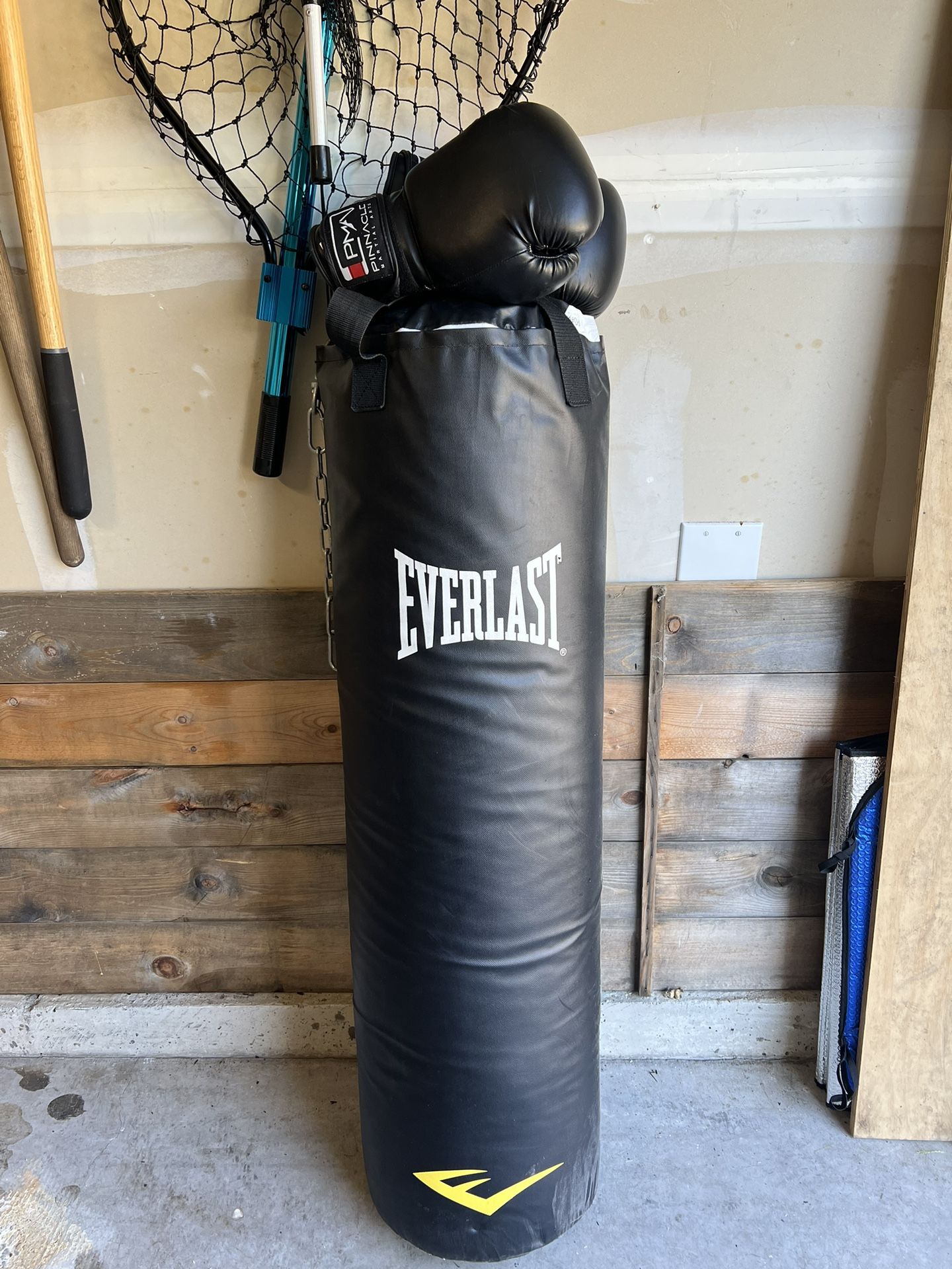 Everlast Punching Bag & Gloves