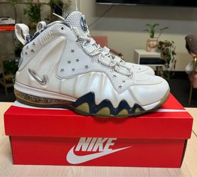 Nike Barkley Posite Max