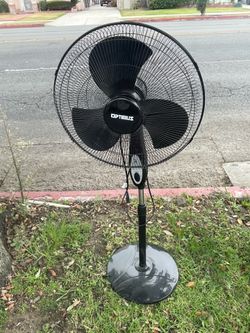 Fan