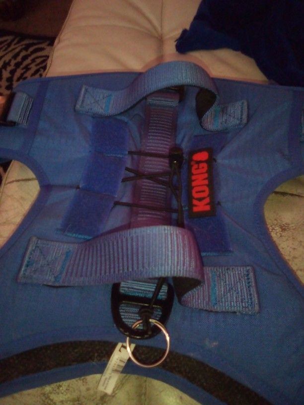 Kong Harness