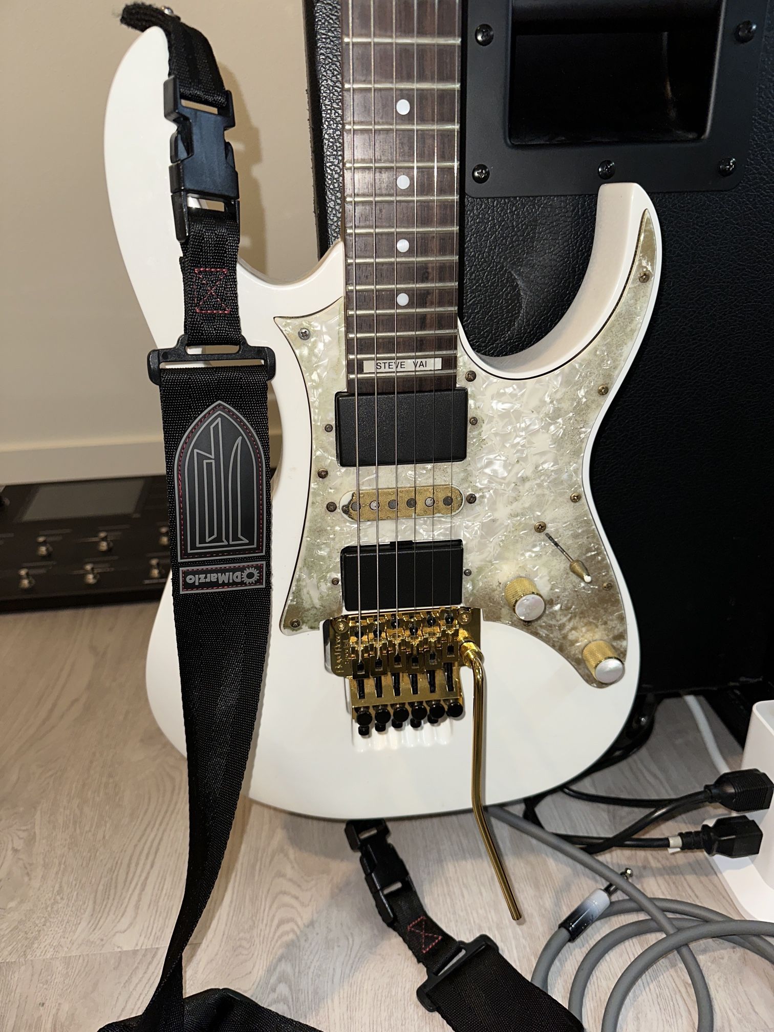 Ibanez Jem Jr