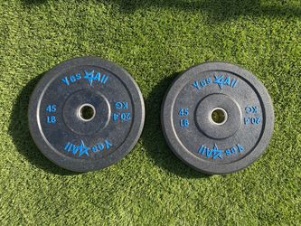 Pair of 45lb Weight Plates