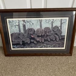 Framed Print 6 Pack To Go By Griff 38/1500 21x32