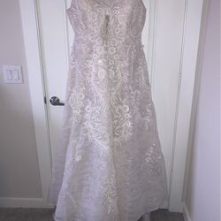 Wedding Dress with Veil
