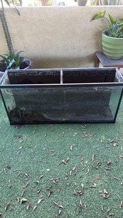 65 gallon tank
